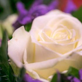 Bruidswerk Heemskerk Bloemisten